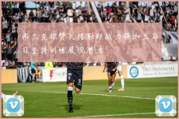 弗兰克称赞瓦格勒即战力强加兰每日坚持训练展现潜力