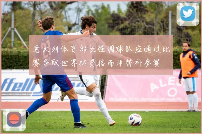 意大利体育部长强调球队应通过比赛争取世界杯资格而非替补参赛